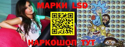 дмт Будённовск